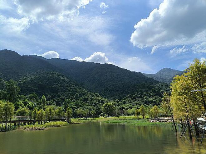 钱凯到上海：蓝图变通途的旅程